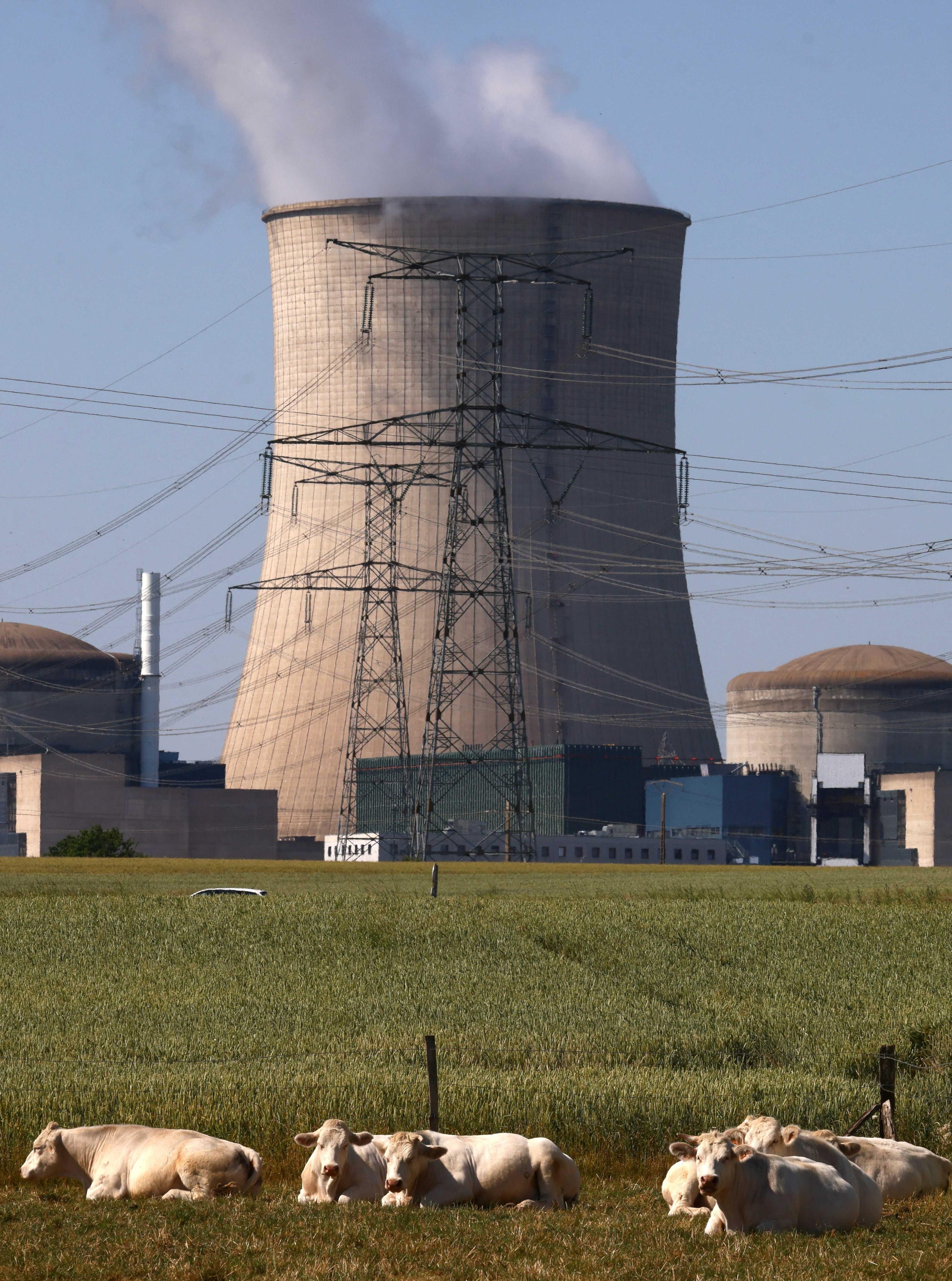 A general view shows a cooling tower of the Electricite de France (EDF) nuclear power plant in Cattenom, France, June 13. Photo: Reuters