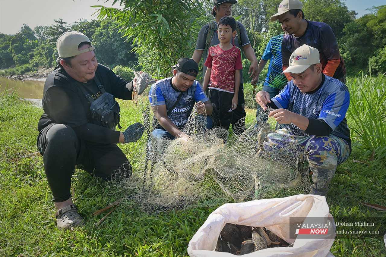 Syahdani Danial (kiri) bersama rakan sukarelawan lain mengeluarkan ikan bandaraya yang lekat pada jala semasa aktiviti menangkap ikan asing di Sungai Langat.