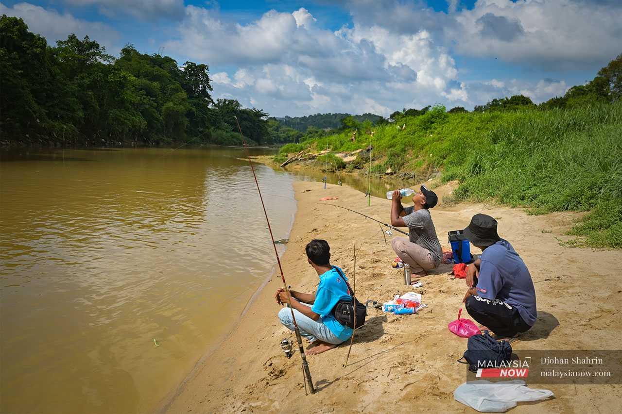 Di Lembah Kelang, hampir 80% sungai-sungai dimonopoli ikan asing ini. Selain ikan bandaraya ialah ikan patin merah, ikan lampam jawa, ikan keli afrika, ikan tilapia hitam, ikan rohu dan ikan pacu. Mereka yang meluangkan masa berjam-jam memancing akan mendapati kebanyakan hasil tangkapan ialah ikan bandaraya.