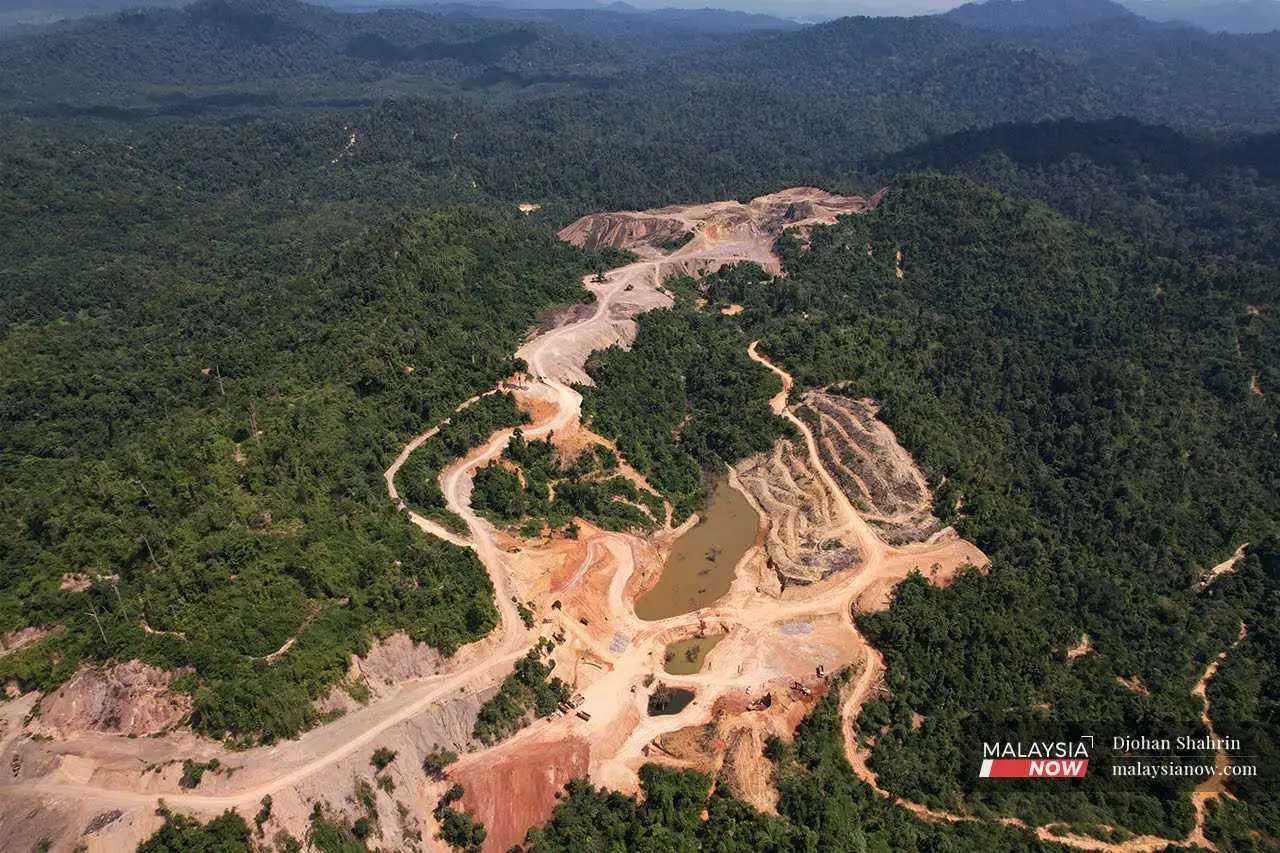 Forest_reserve_mining_mnow